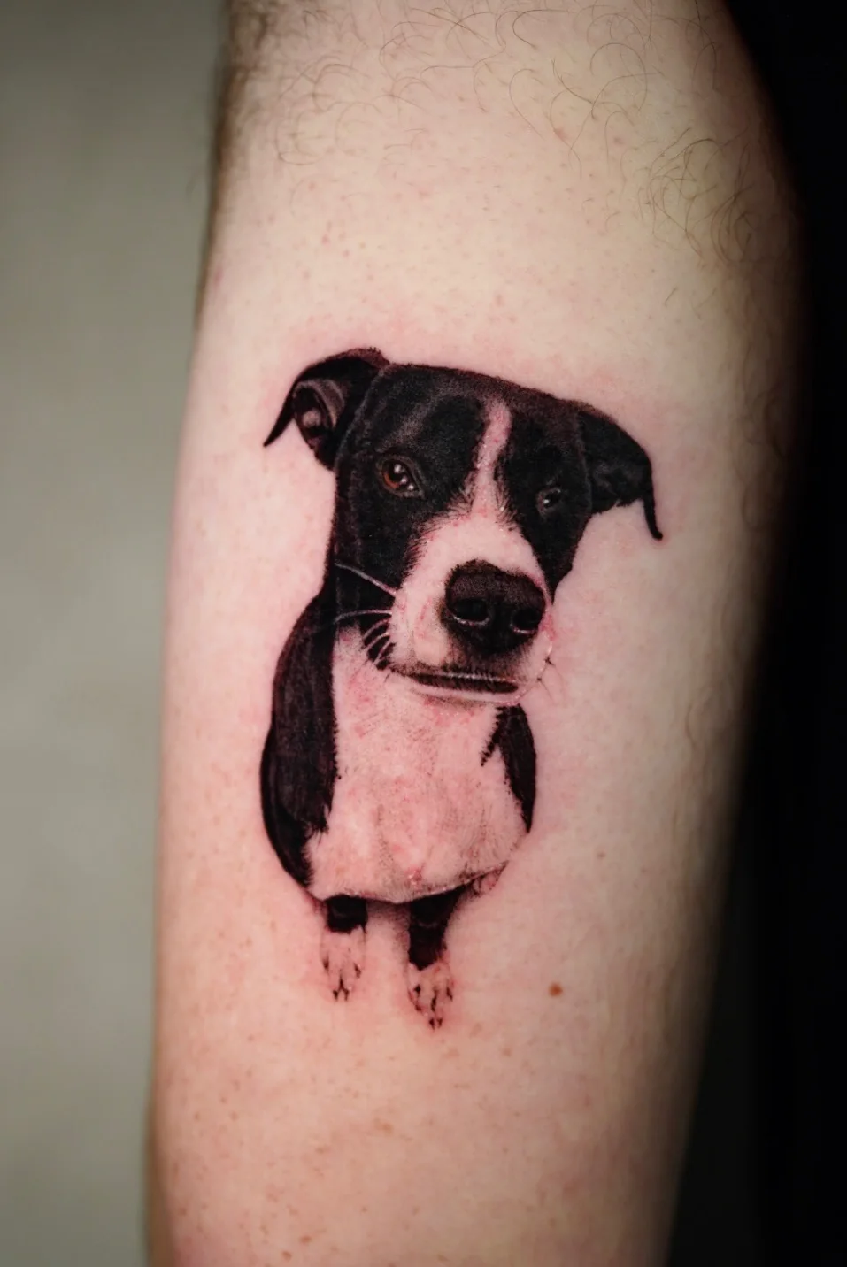 Black and white dog portrait tattoo on an upper arm