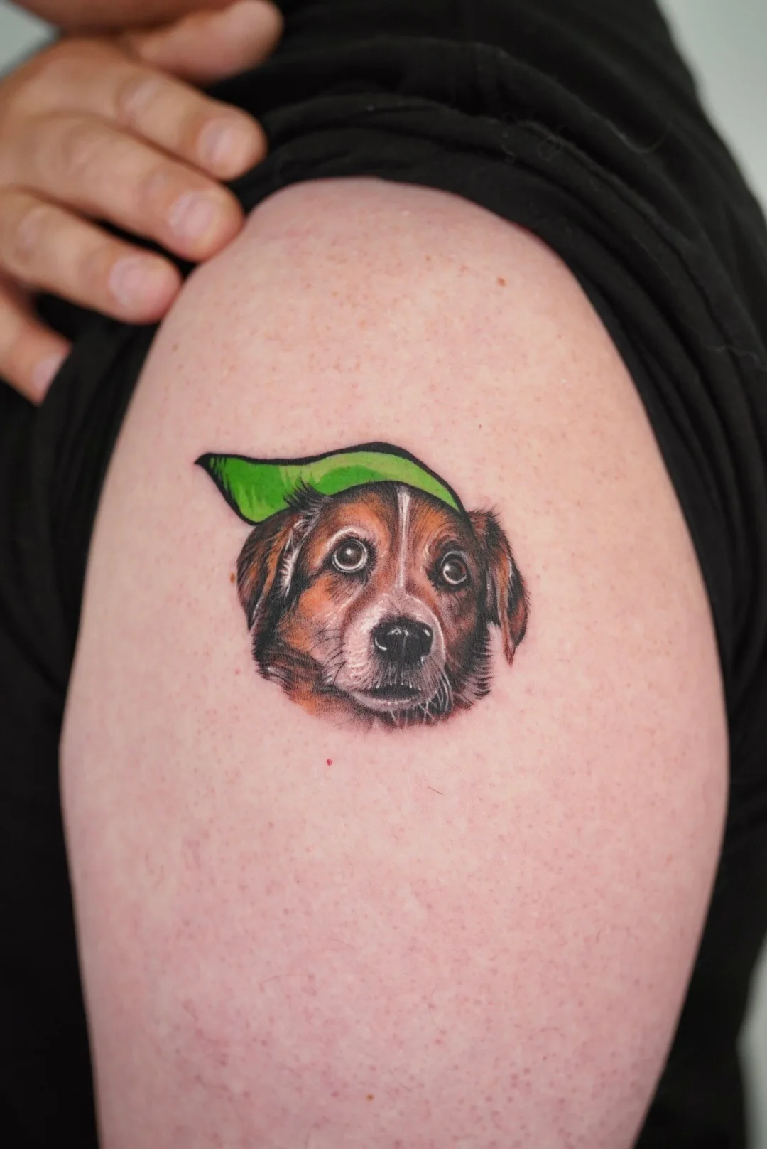 Dog portrait wearing a leaf as a hat on a shoulder