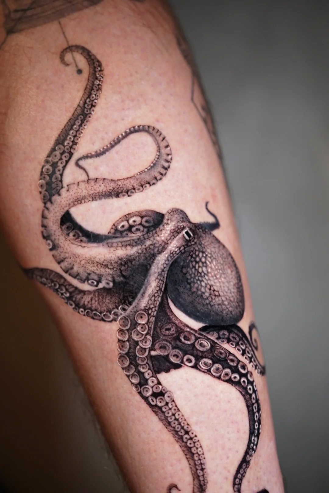 Octopus tattoo wrapping a forearm