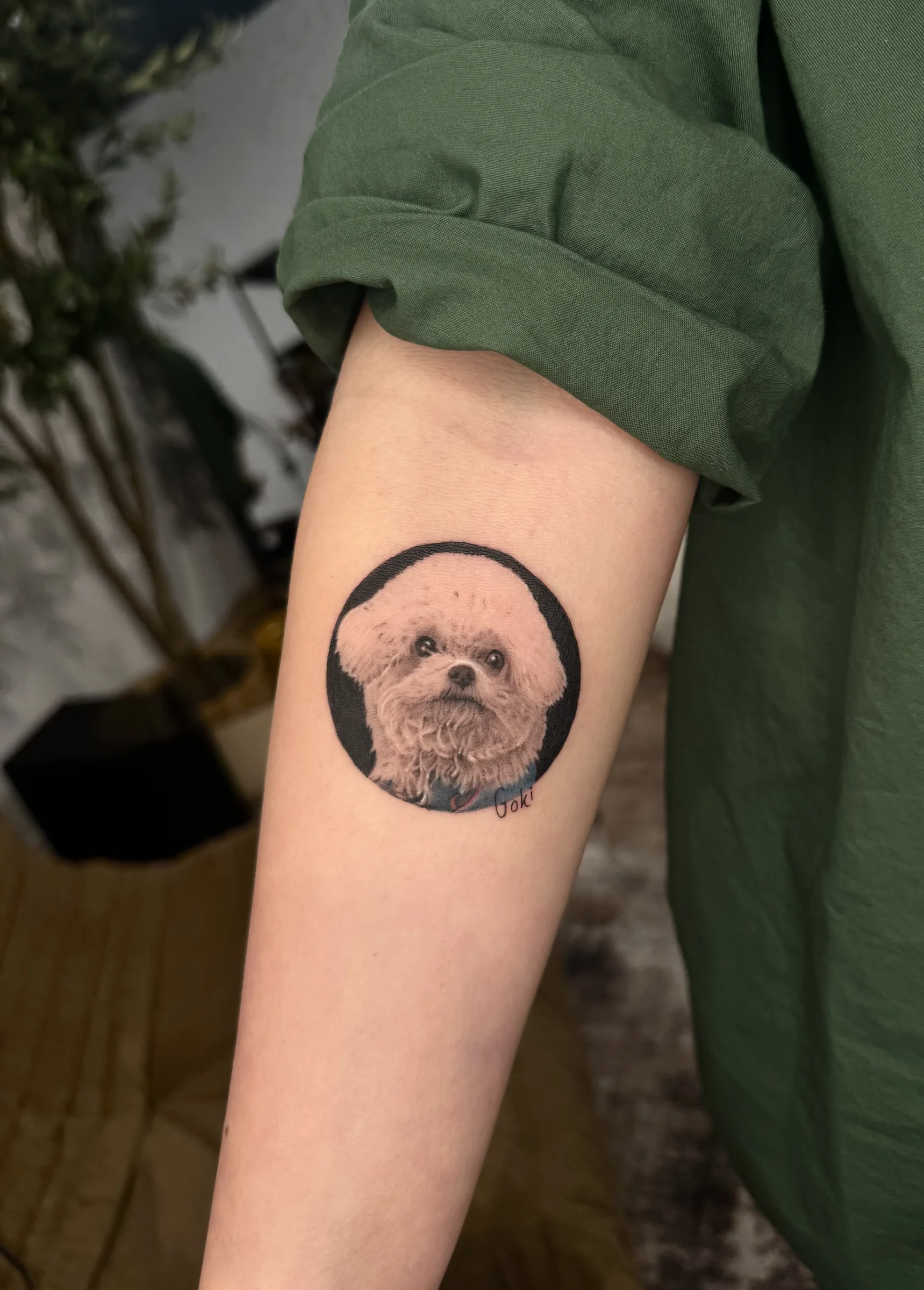 Poodle portrait inside a circle on a forearm