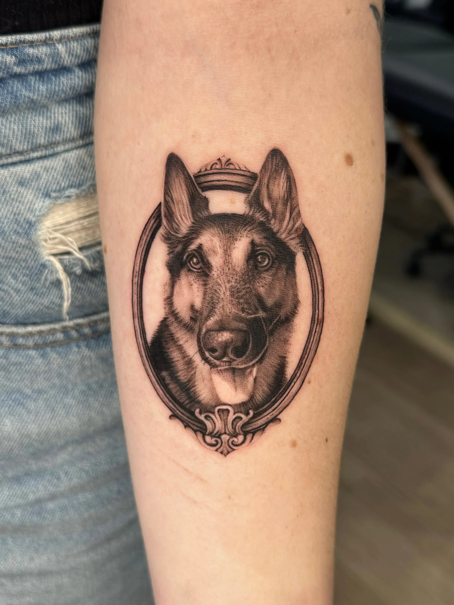 German shepherd portrait inside an ornate frame on a forearm
