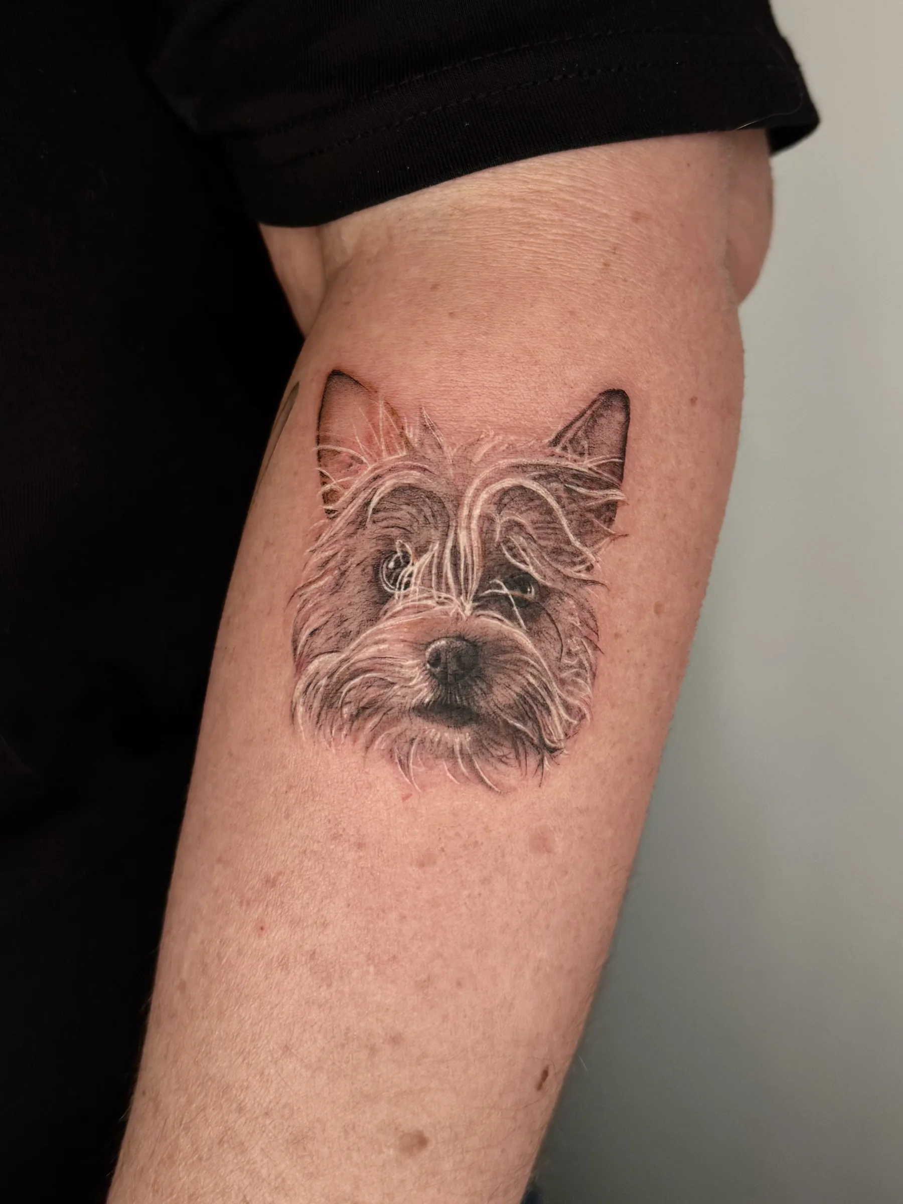 Terrier portrait tattoo on an upper arm
